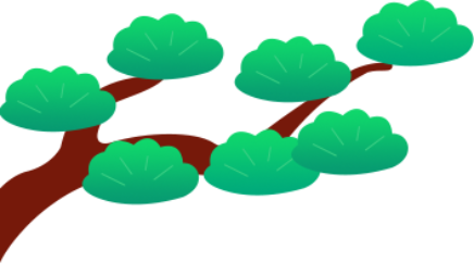 顶