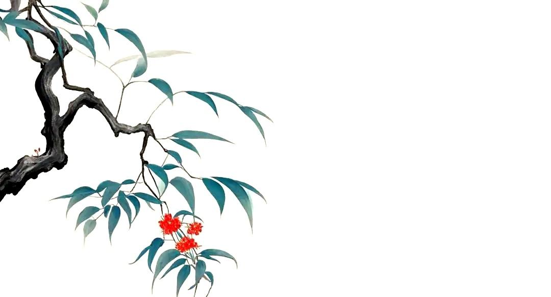 顶