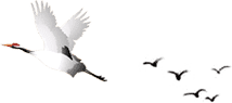 顶