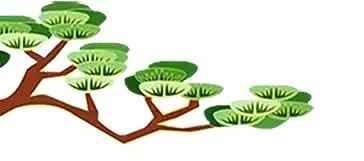顶