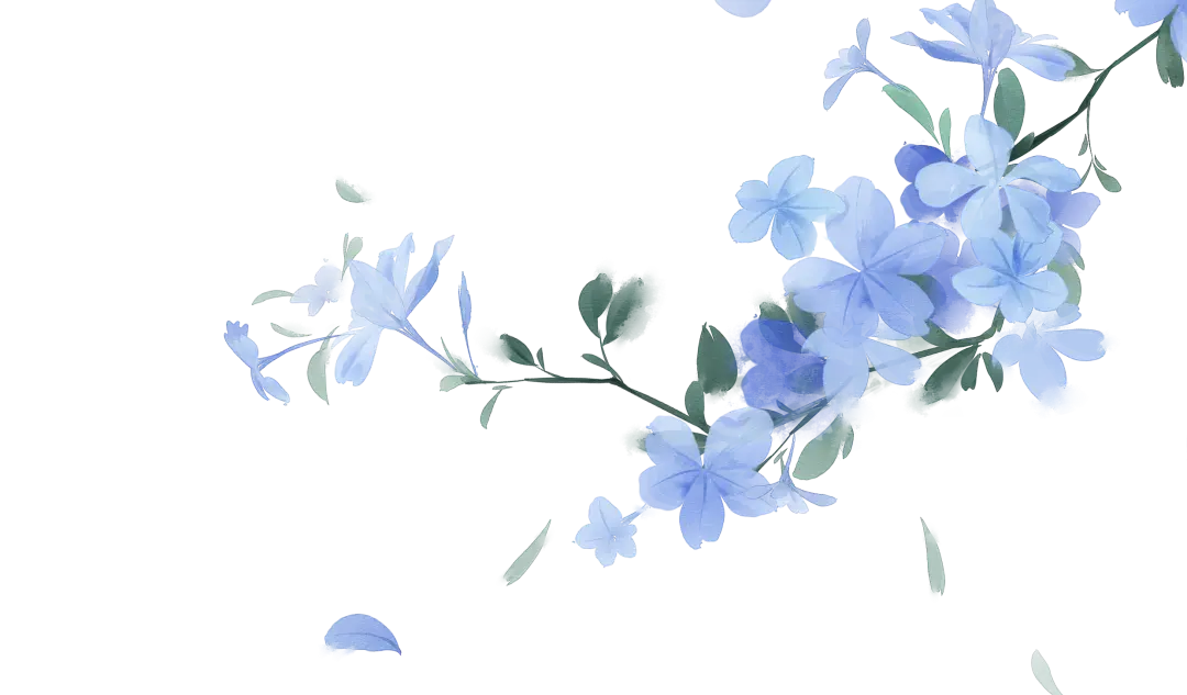 顶