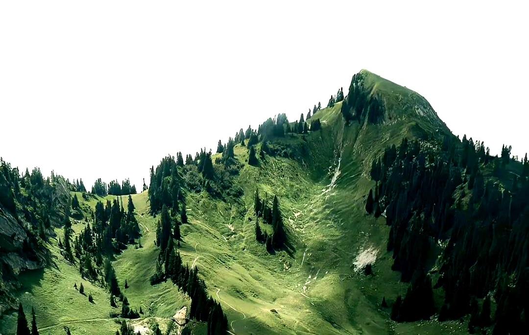 风景
