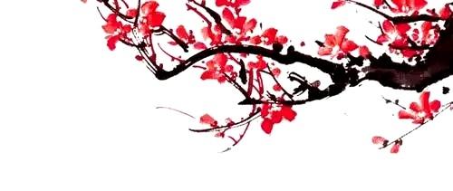 顶