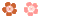 小图标