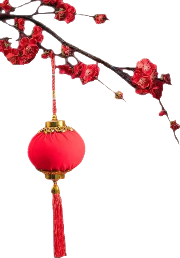顶