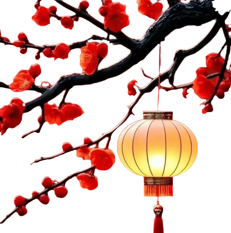 顶