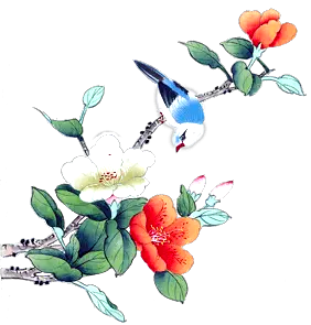 顶