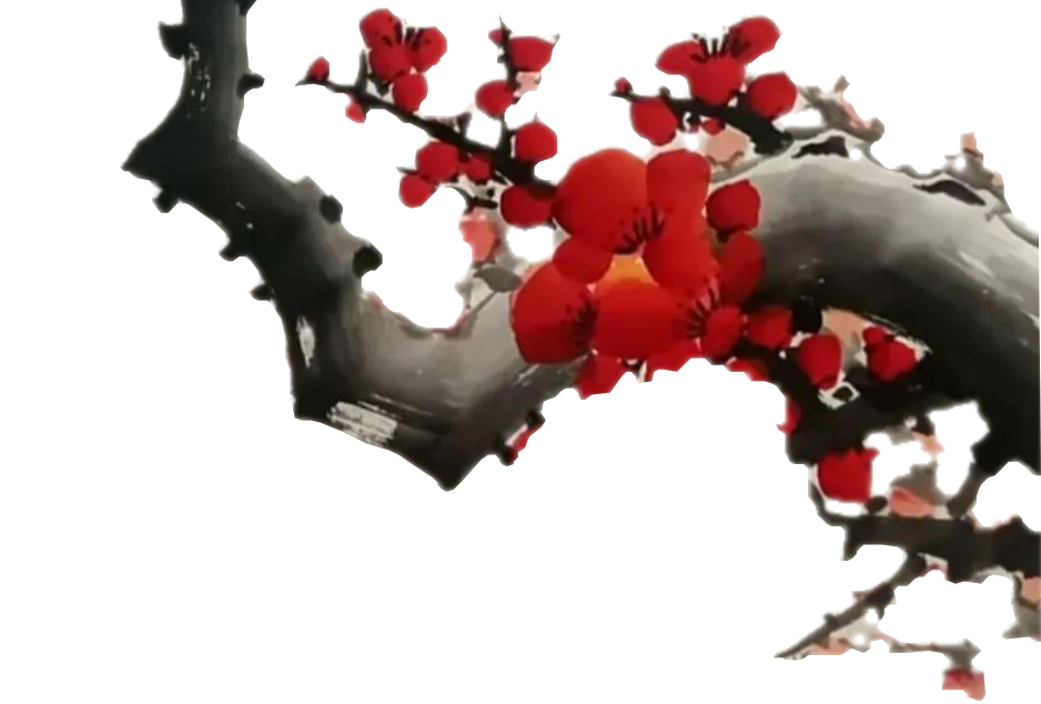 顶