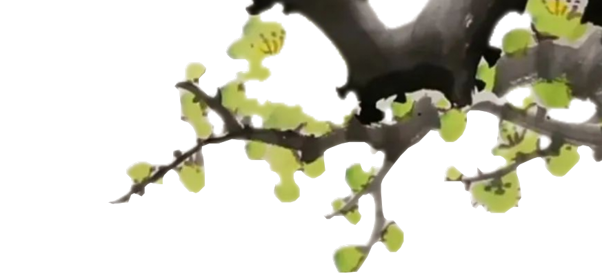 顶