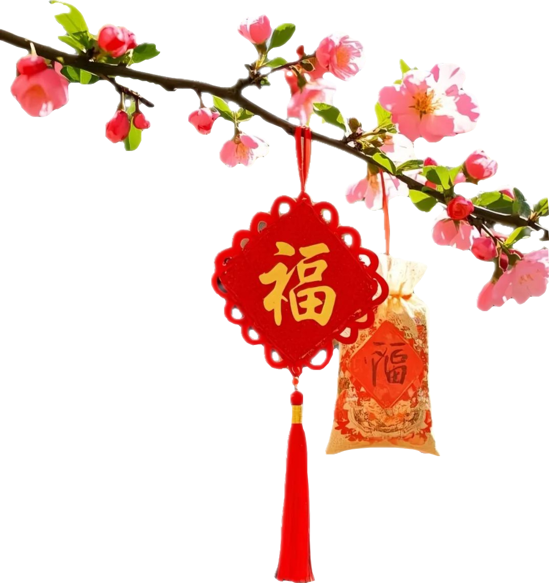 顶