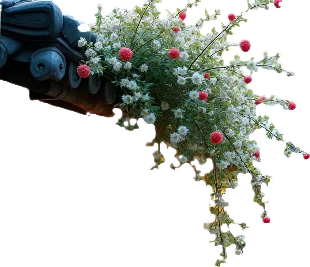 顶