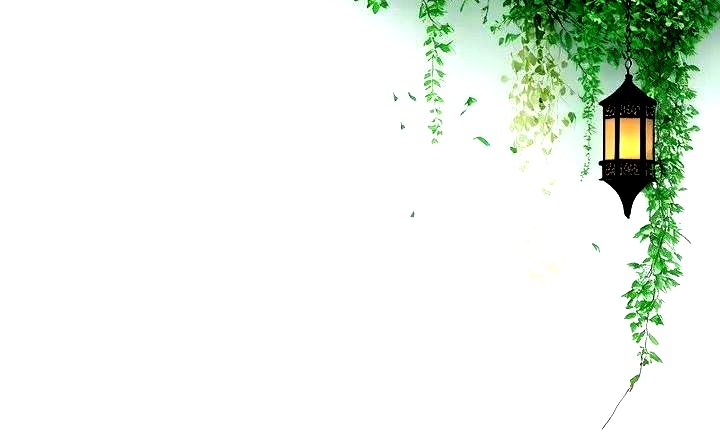 顶
