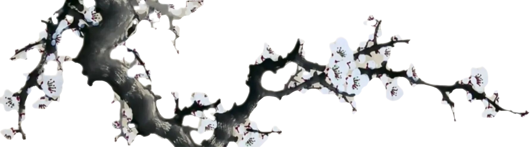顶