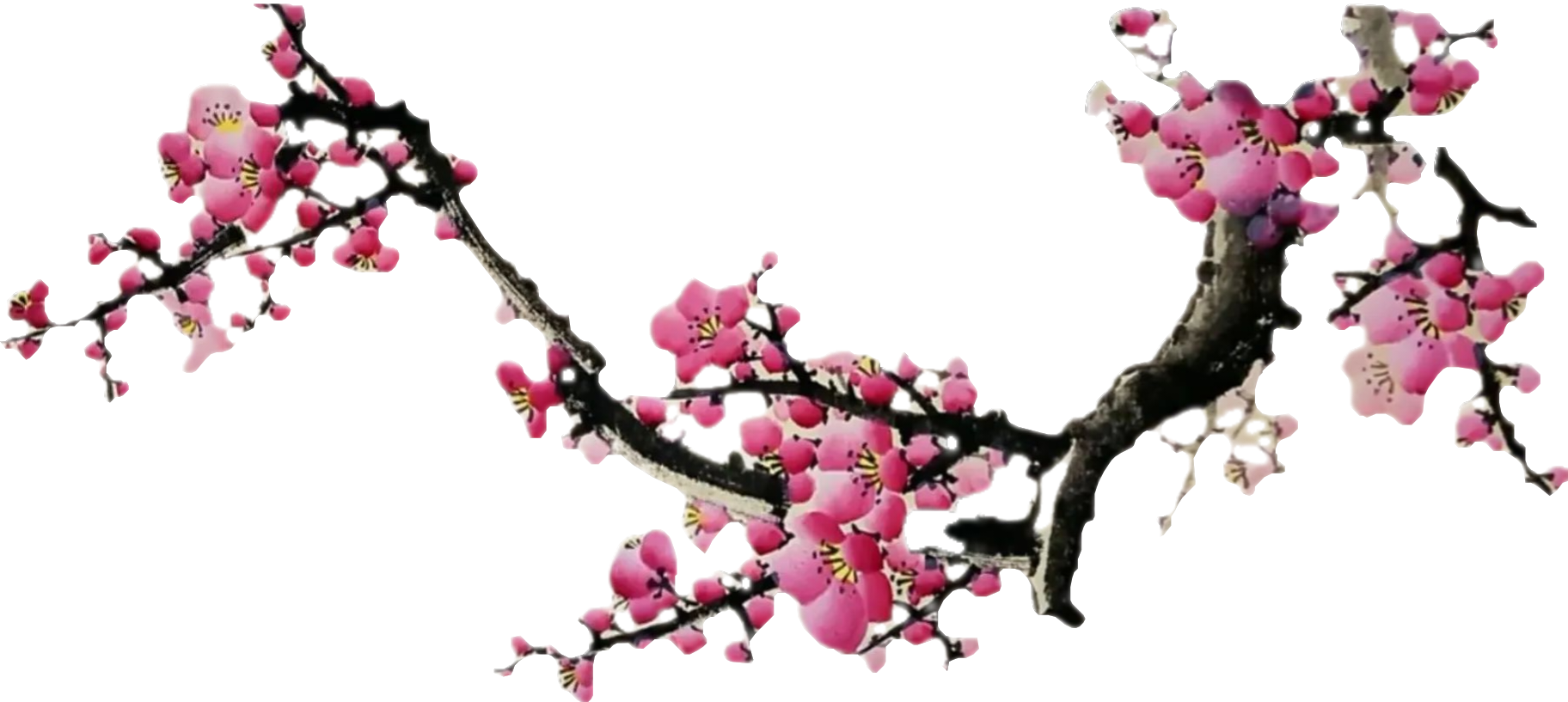 顶