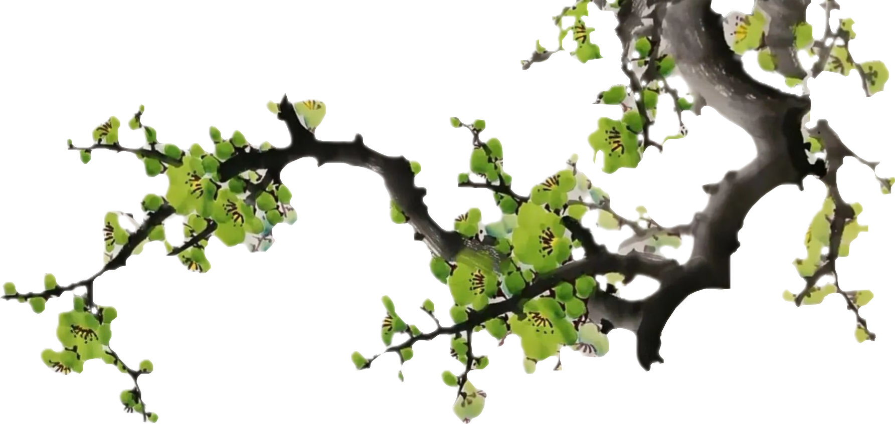 顶
