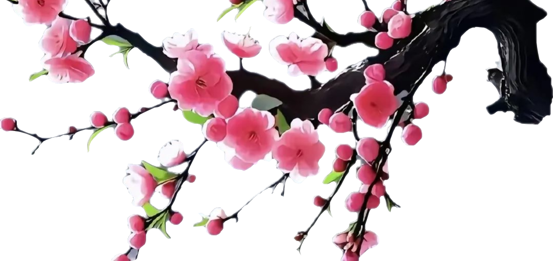 顶