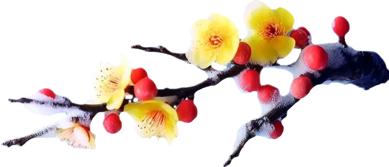 顶