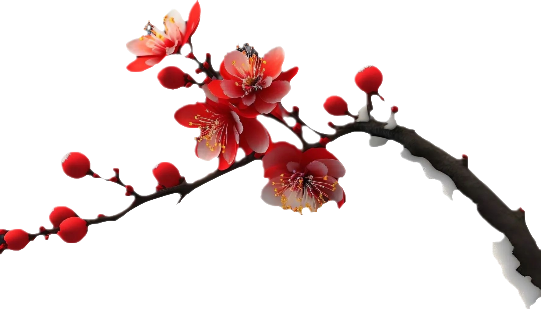 顶