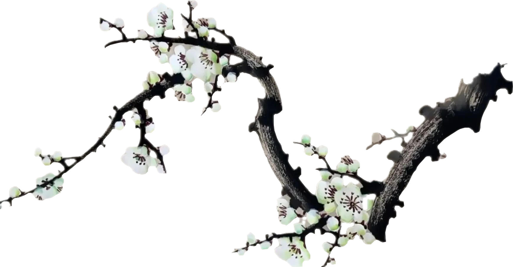 顶