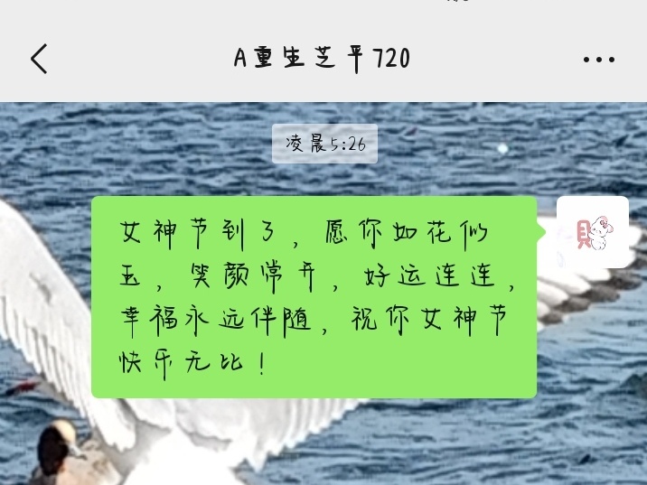 女神节