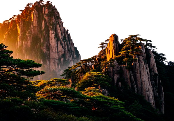 风景