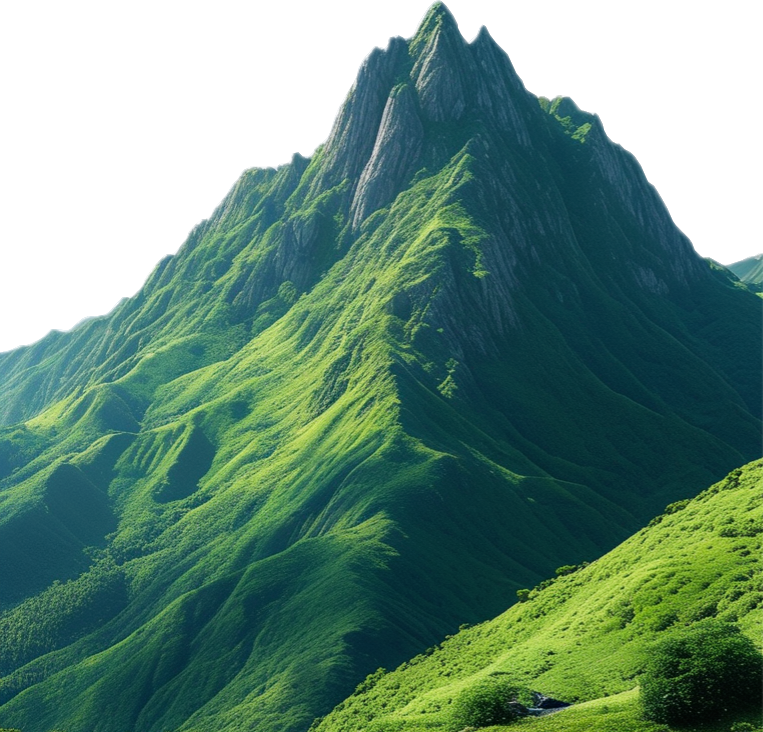 风景