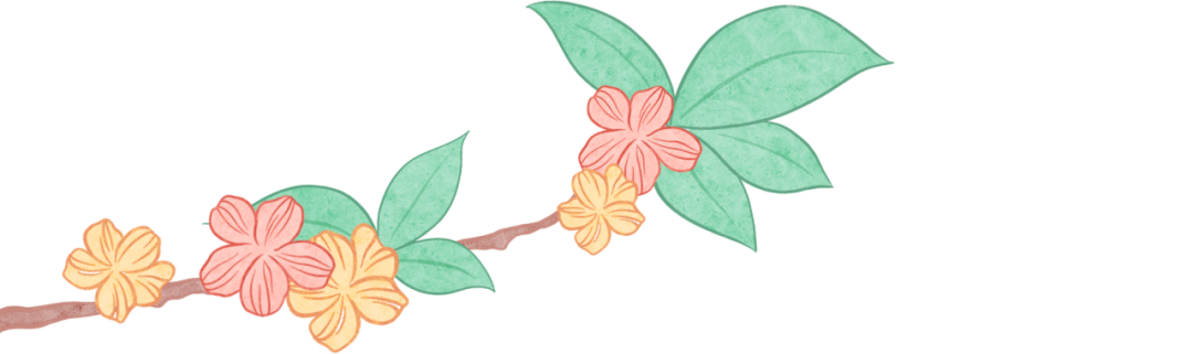 顶