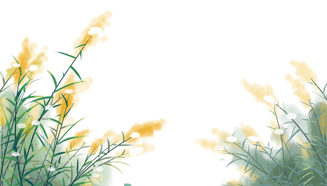 风景