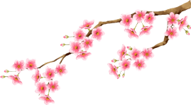 顶