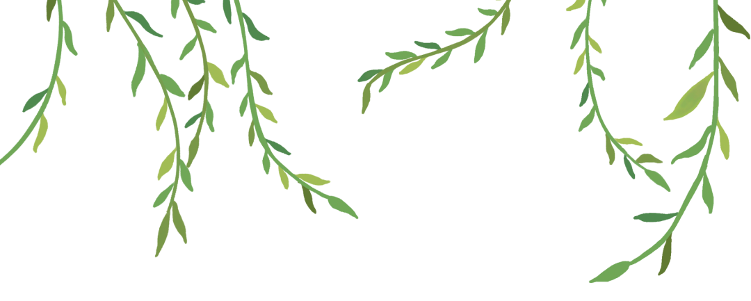 顶