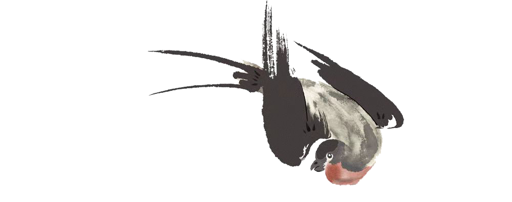 顶