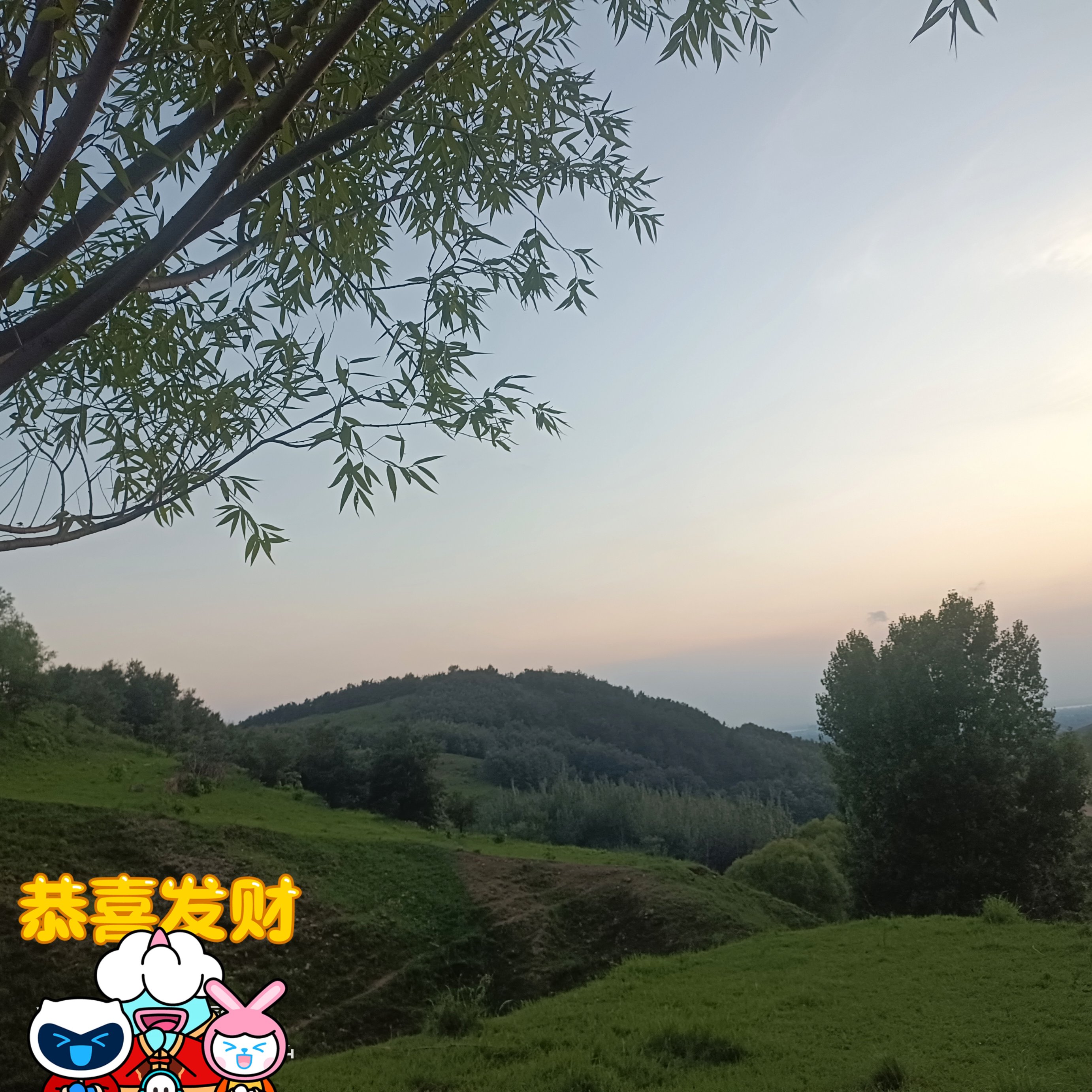 图