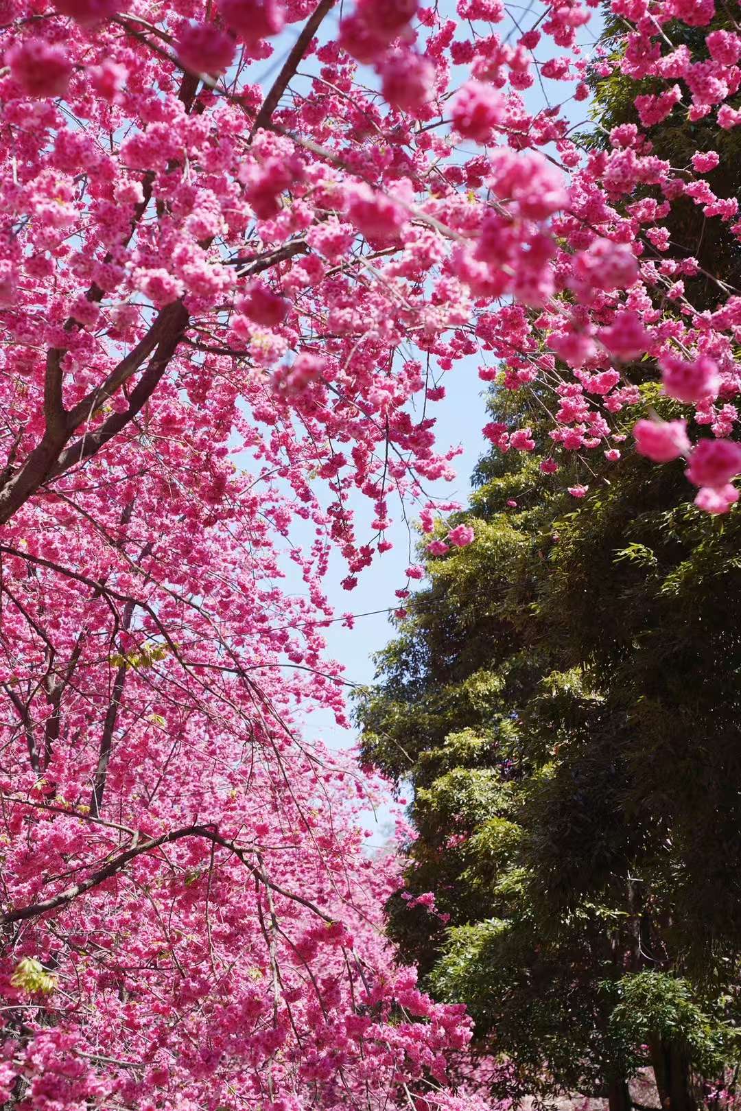 。