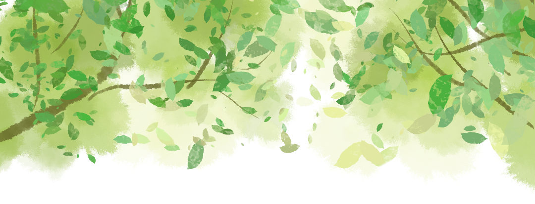 顶