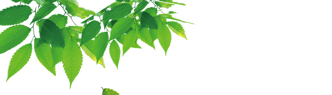 顶