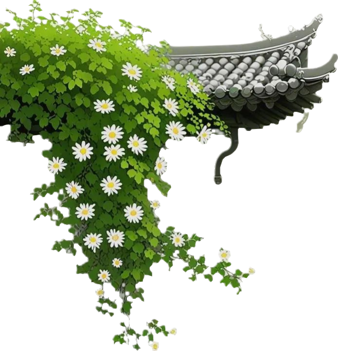 顶