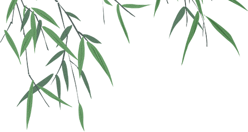 顶