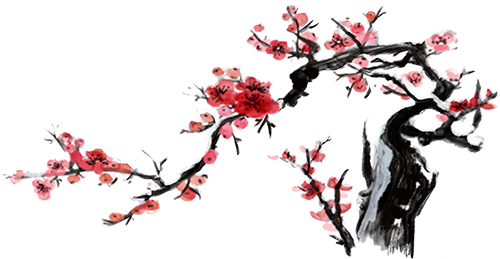 顶
