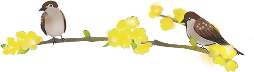 顶