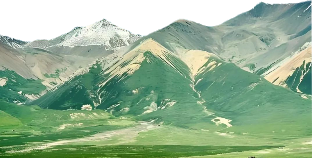 风景