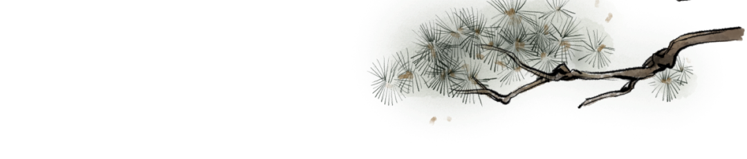 顶