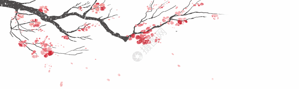 顶