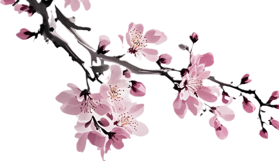 顶