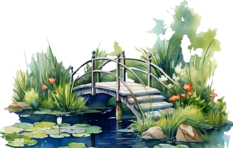 风景