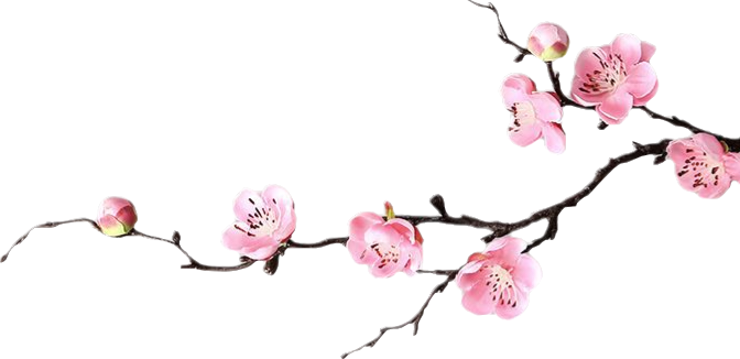 顶