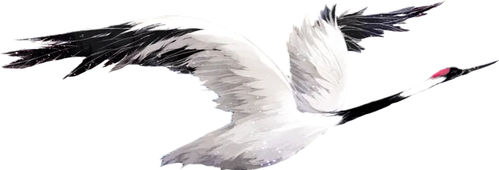 顶