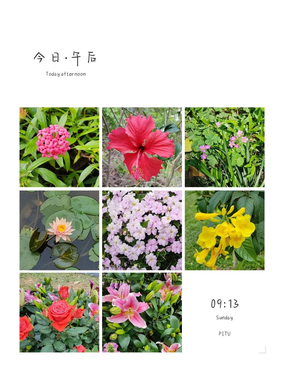 花