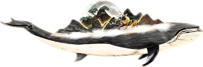 顶