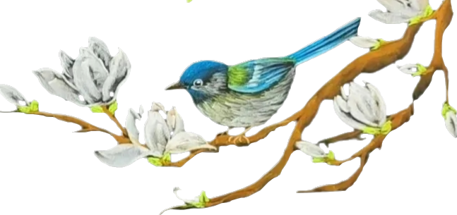 顶