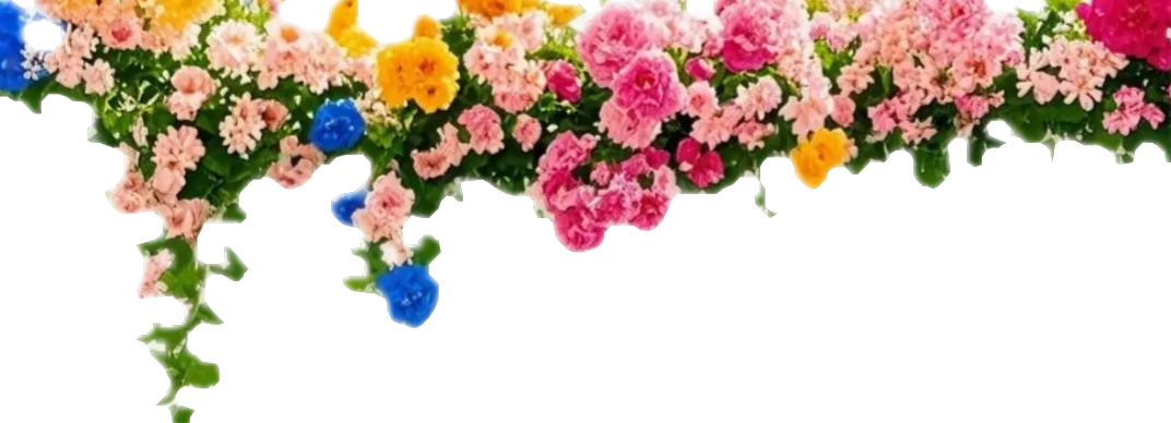 顶